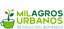 Milagros Urbanos